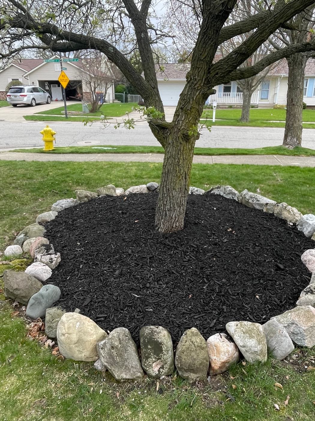 Fresh black mulch ring with a natural stone border around a tree