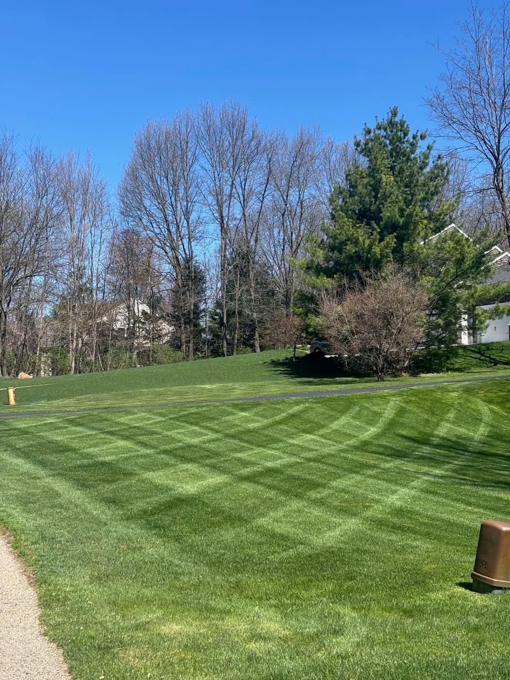 Healthy, freshly striped lawn under a clear blue sky